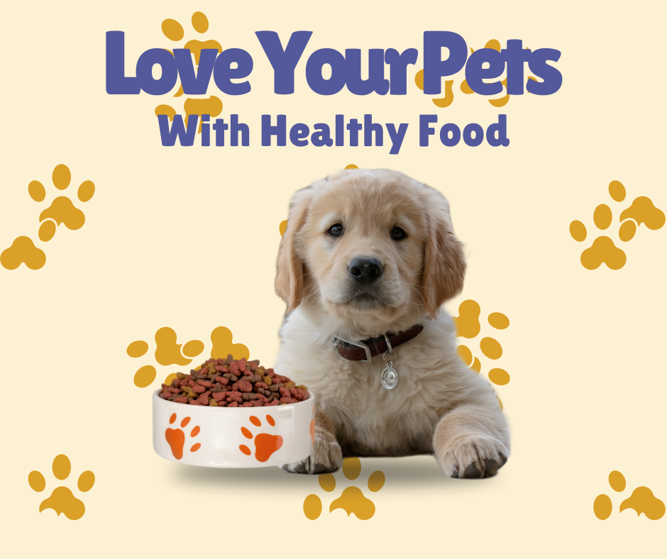 Pet Care Products