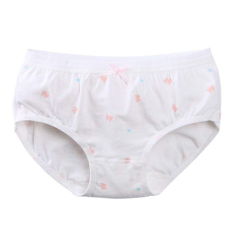 Children's Underwear Women's Triangle Cotton Boxer 12