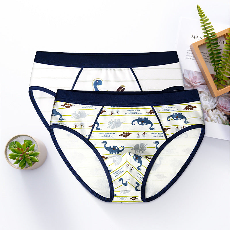Boy's Underwear Boxer Cotton Children's Underwear 5