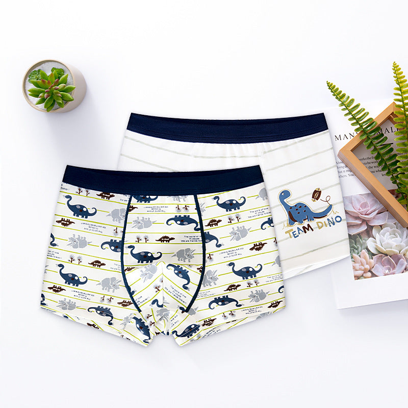 Boy's Underwear Boxer Cotton Children's Underwear 2