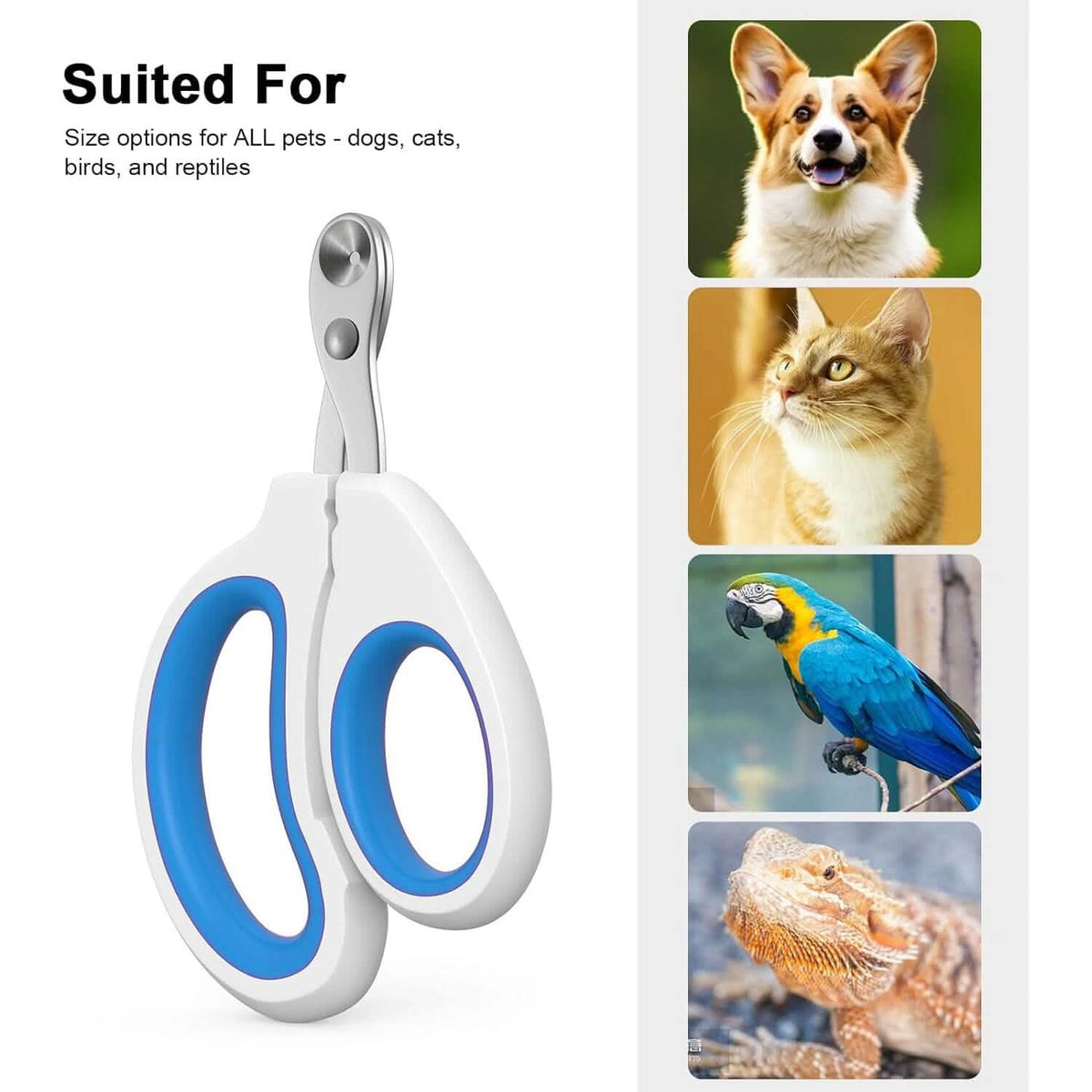 2-Piece: Easy-Grip Stainless Steel Cat Nail Clippers 7