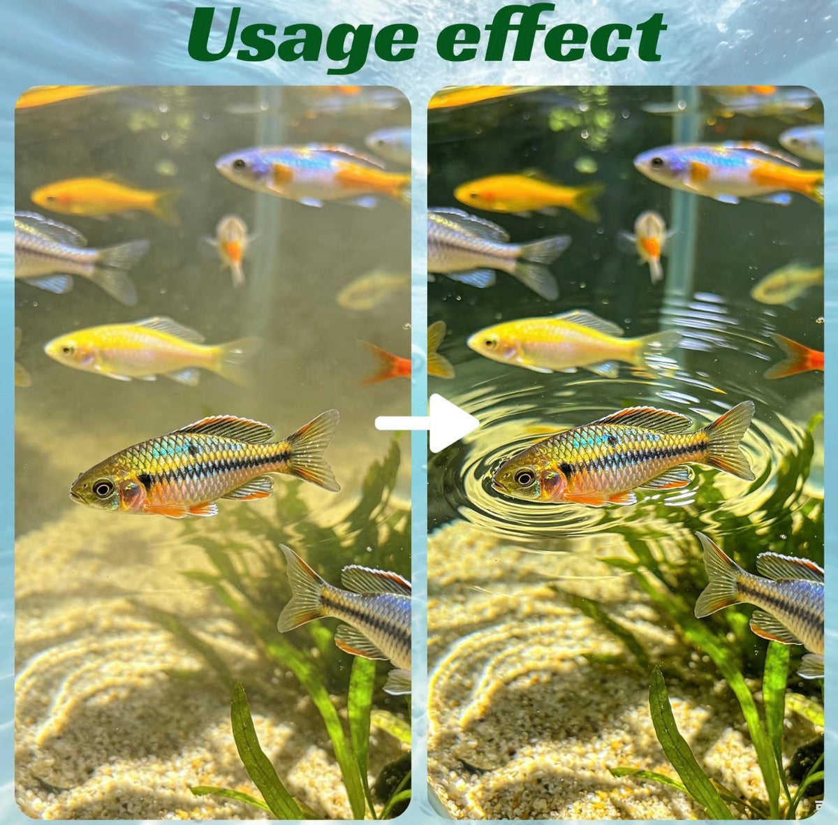 AquaClear Purification Tablets 6