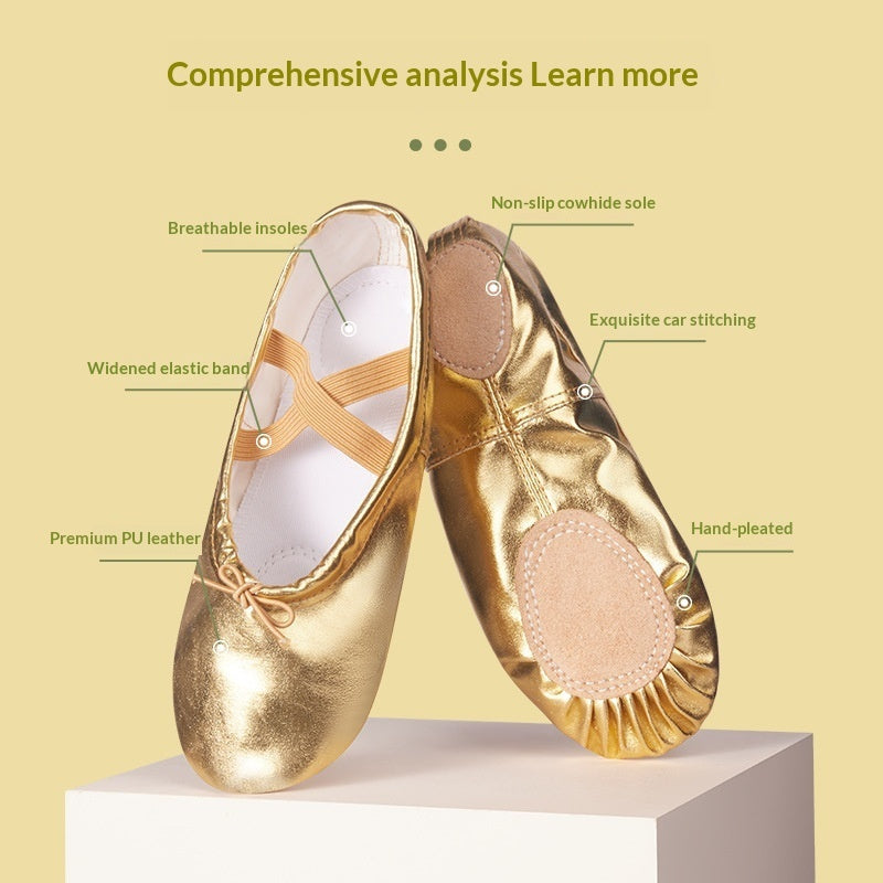 Soft-soled Practice PU Leather Cat-claw Gold And Silver Dance Shoes 3