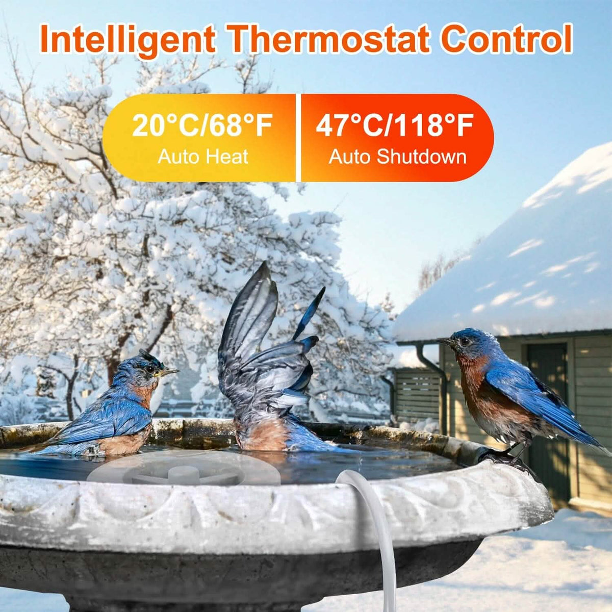 70W Bird Bath Deicer Aluminum Alloy Water Heater with Thermostat Auto Shutdown 7