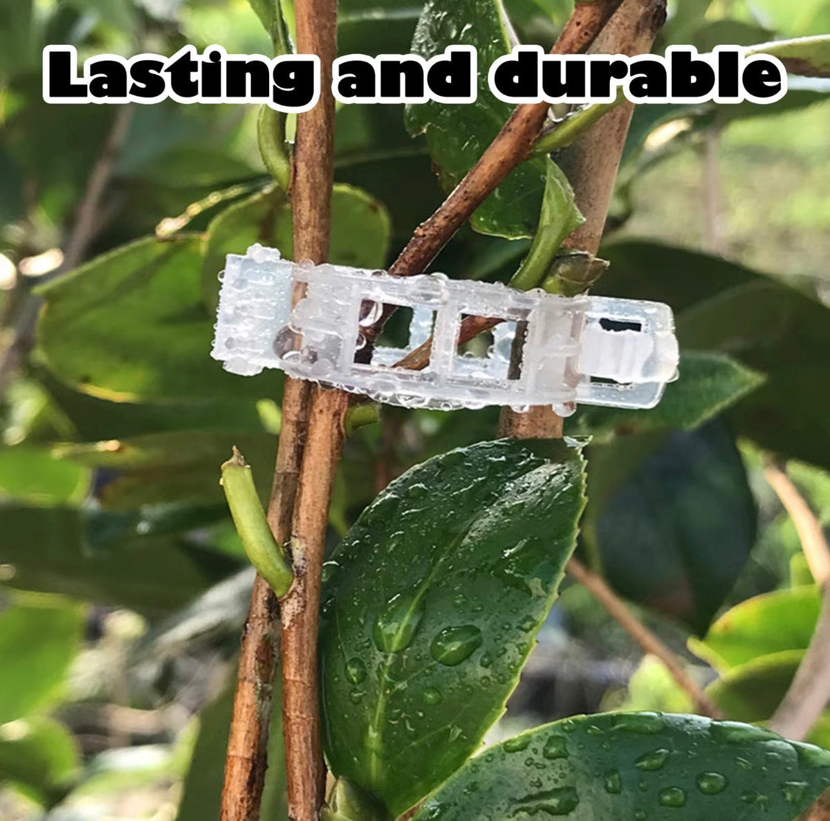 GrowClip Plant Support Clips 5