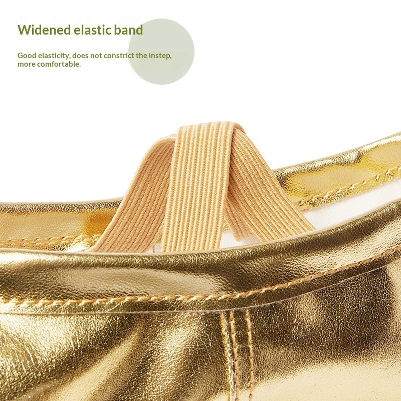 Soft-soled Practice PU Leather Cat-claw Gold And Silver Dance Shoes 2