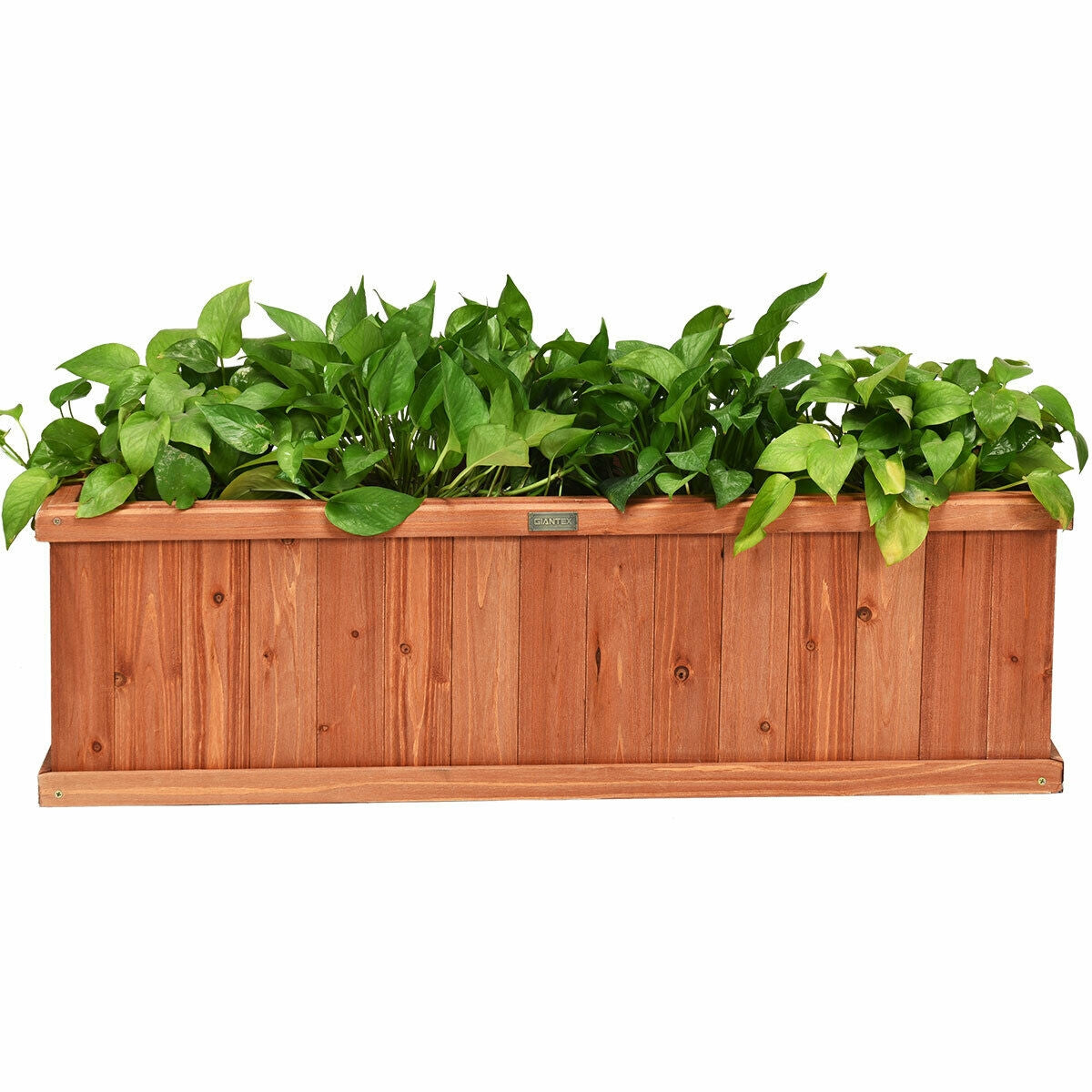 Wooden Decorative Planter Box for Garden Yard and Window 4