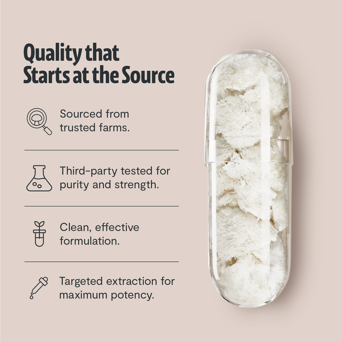 Organic Lion’s Mane Capsules 5