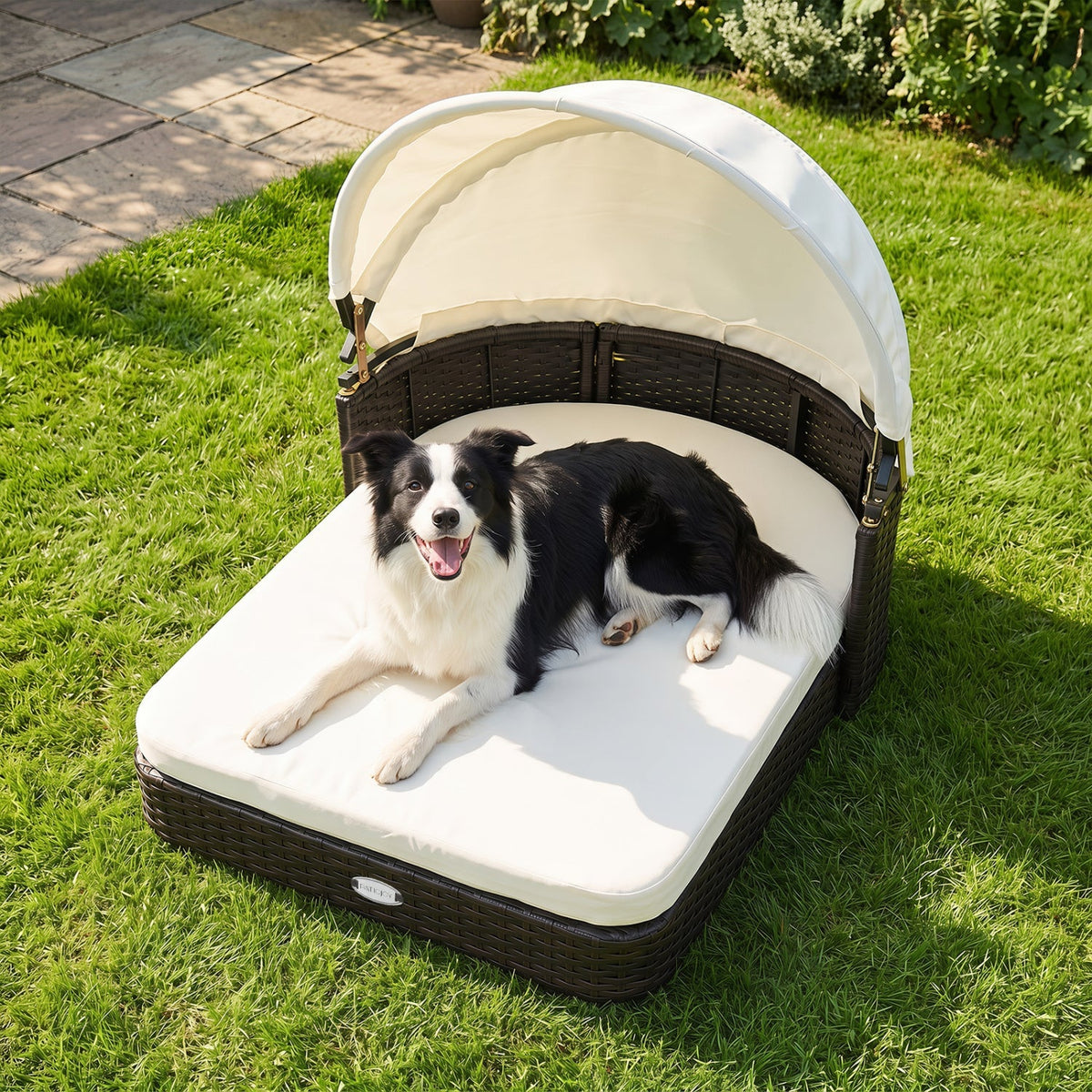 Rattan Pet Daybed with Adjustable Canopy for Small & Medium Dogs 1