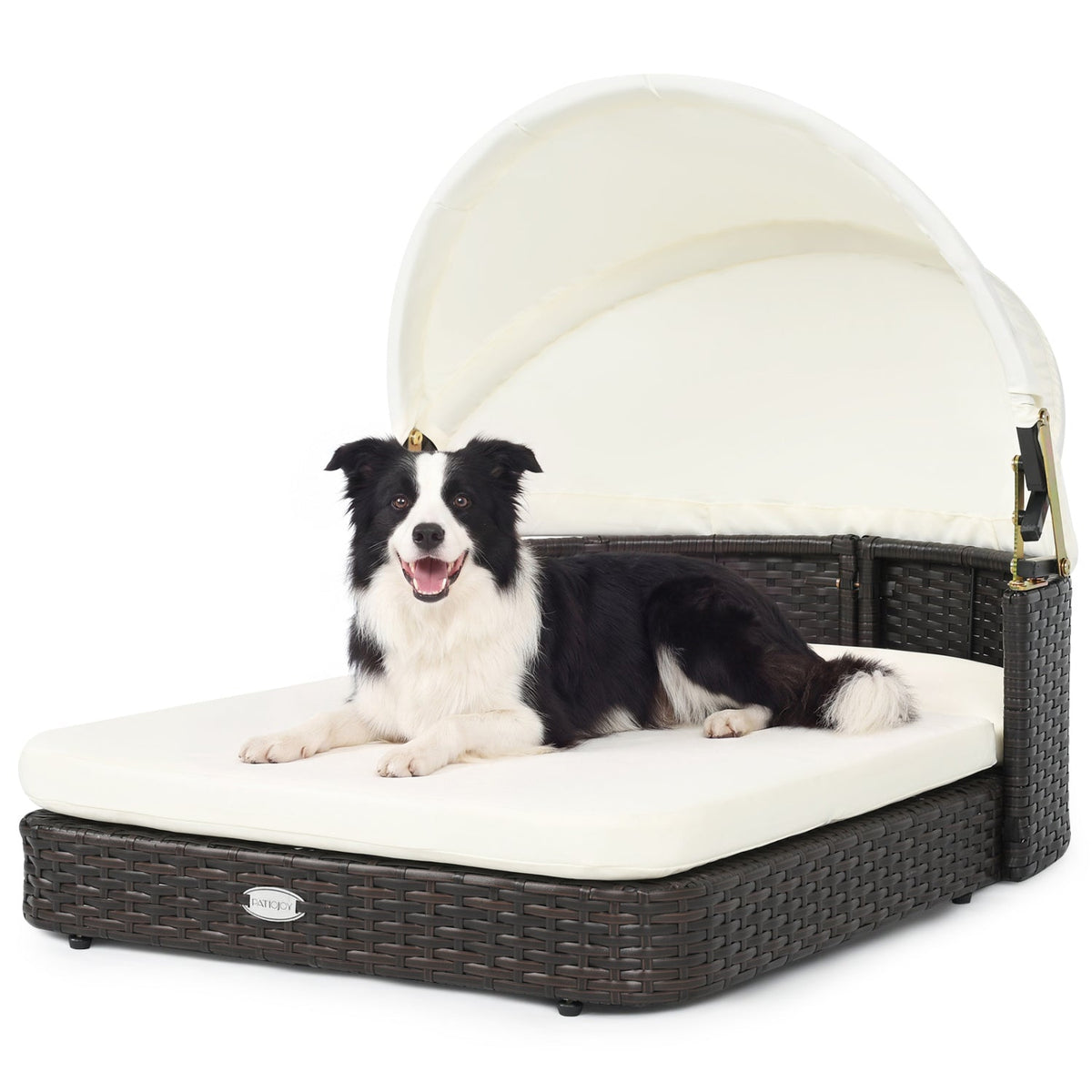 Rattan Pet Daybed with Adjustable Canopy for Small & Medium Dogs 3