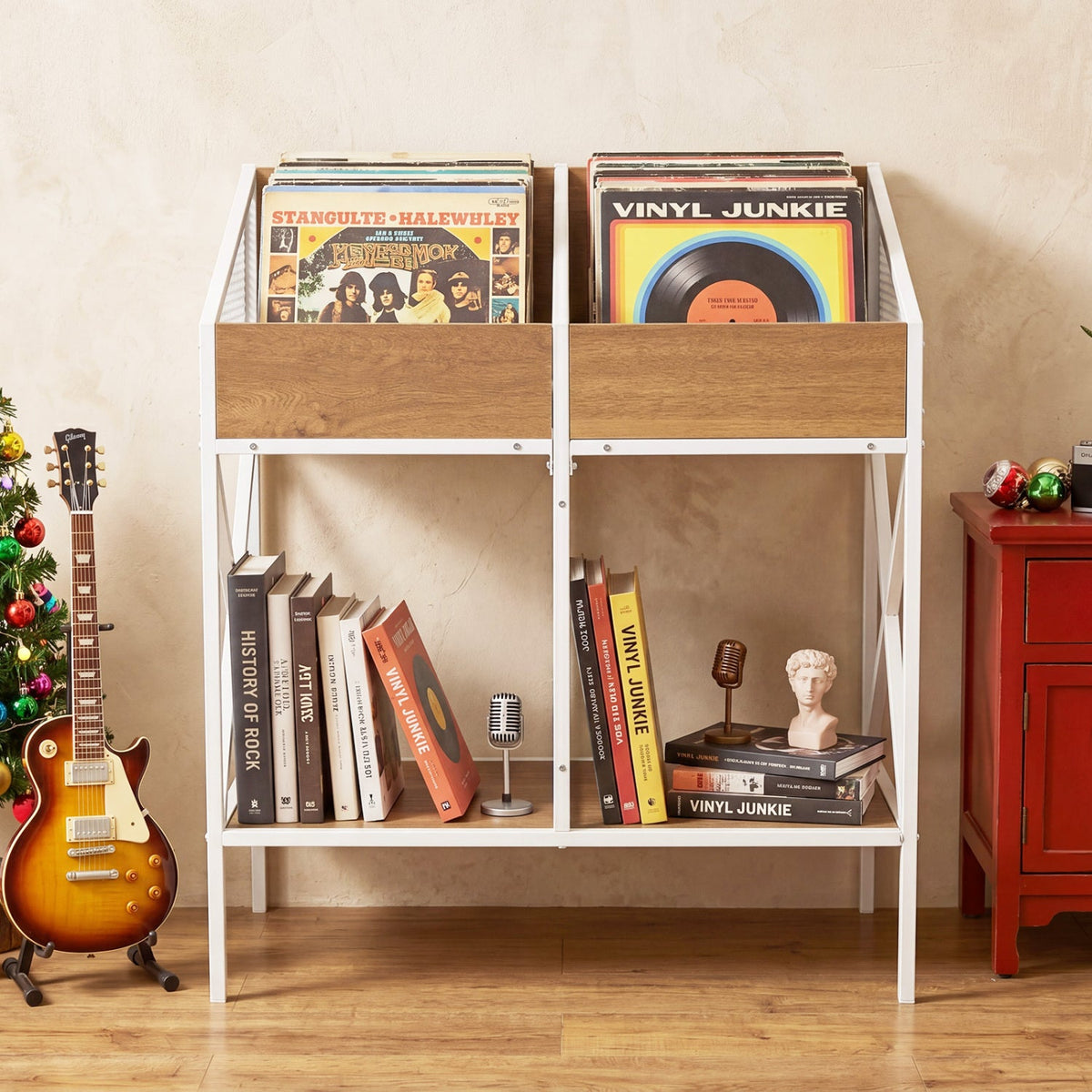 Industrial Vinyl Record Storage Rack with Metal Frame 6