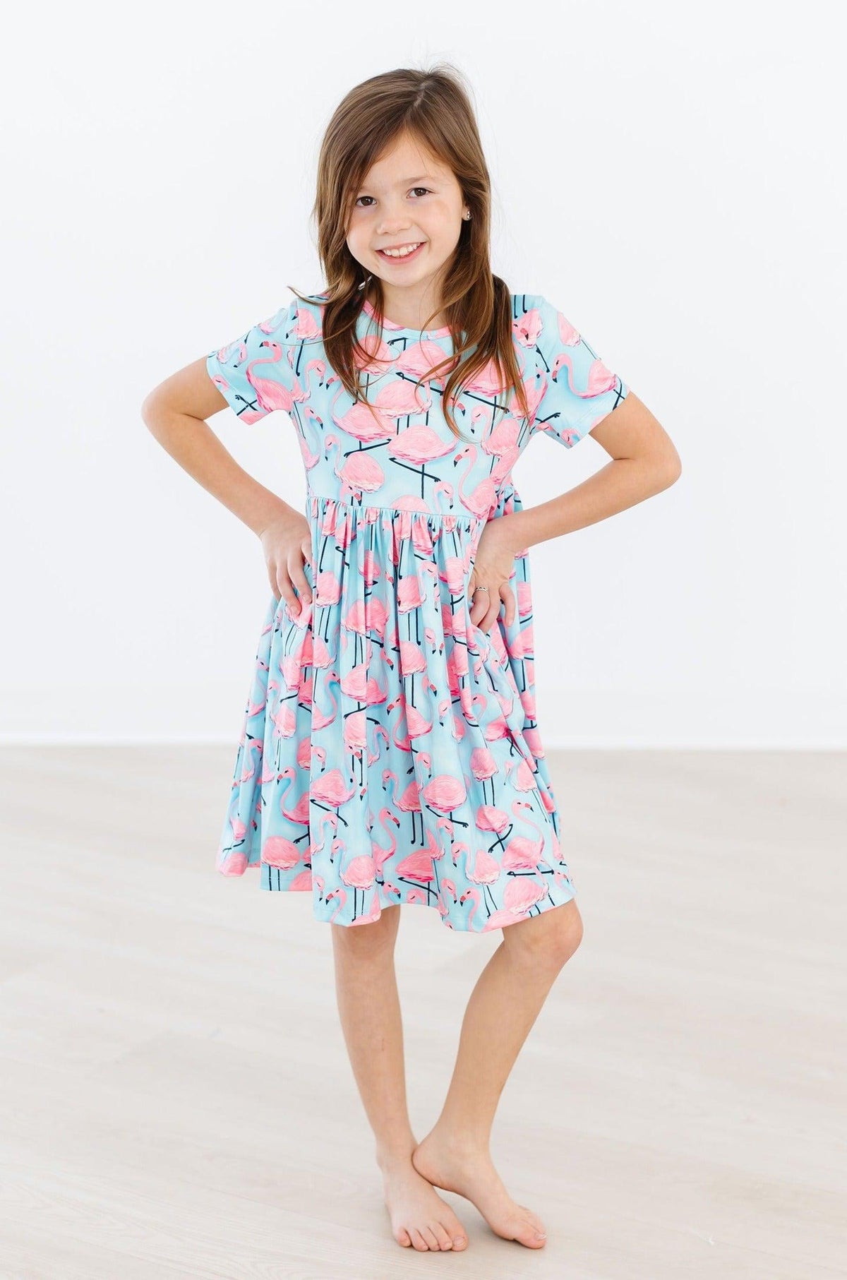 Pretty in Pink Flamingos S/S Pocket Twirl Dress 3