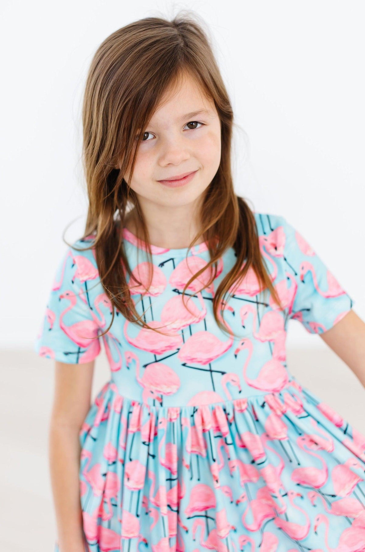 Pretty in Pink Flamingos S/S Pocket Twirl Dress 5