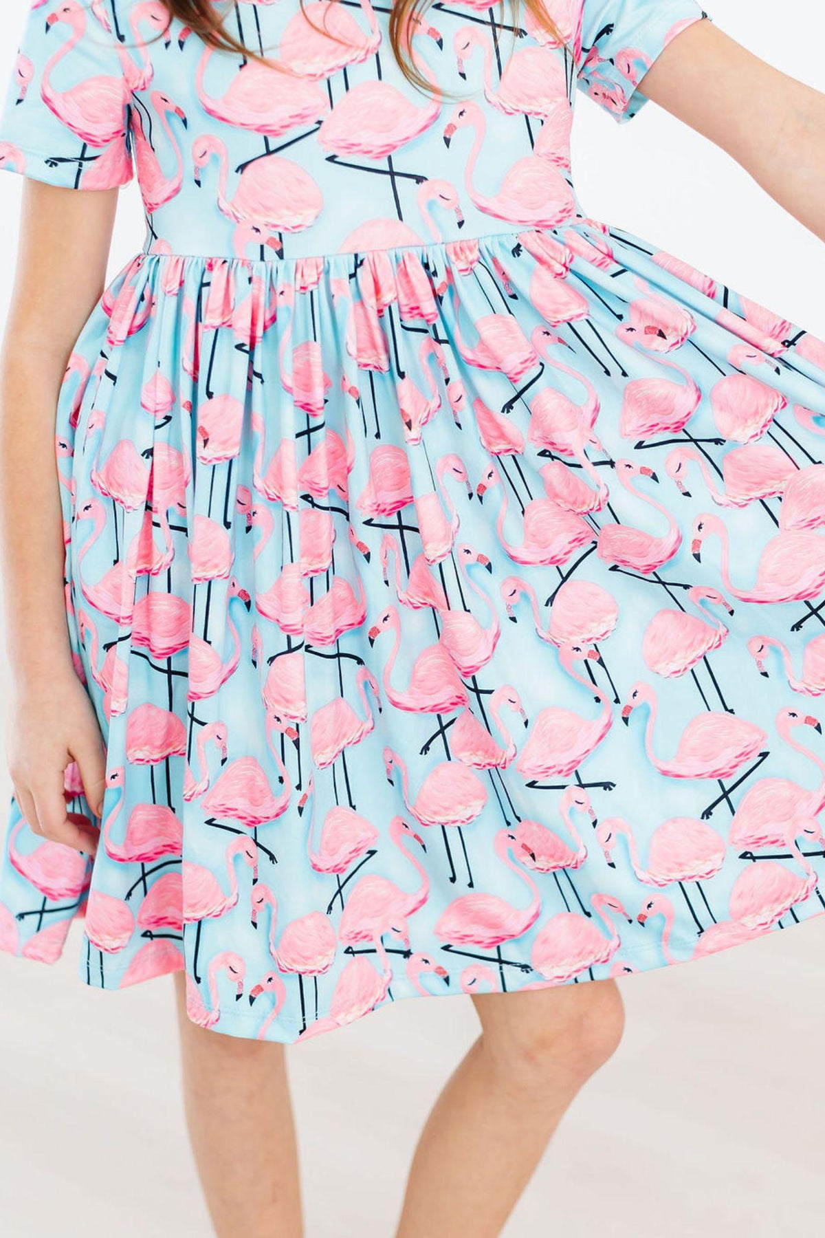 Pretty in Pink Flamingos S/S Pocket Twirl Dress 7