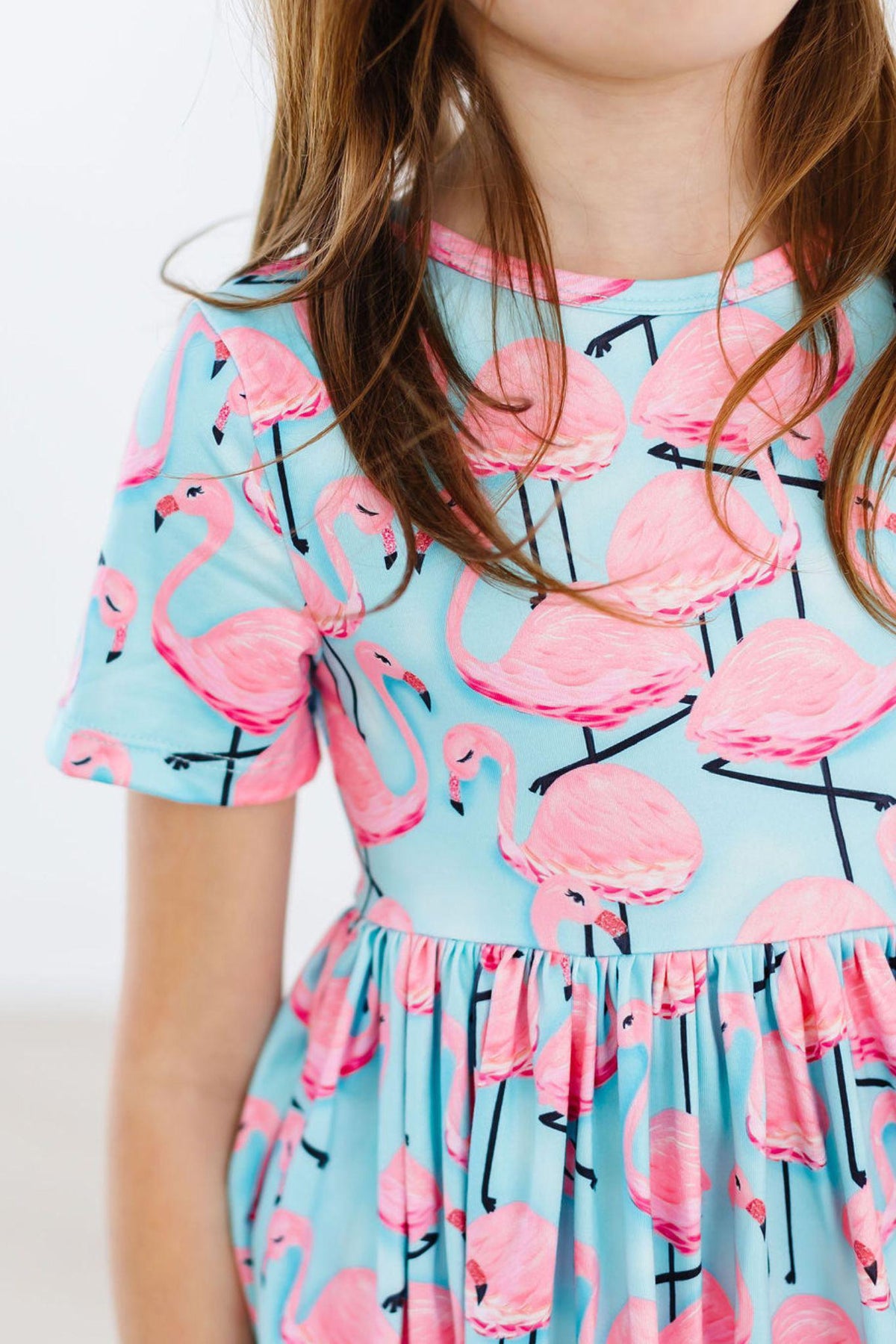 Pretty in Pink Flamingos S/S Pocket Twirl Dress 1