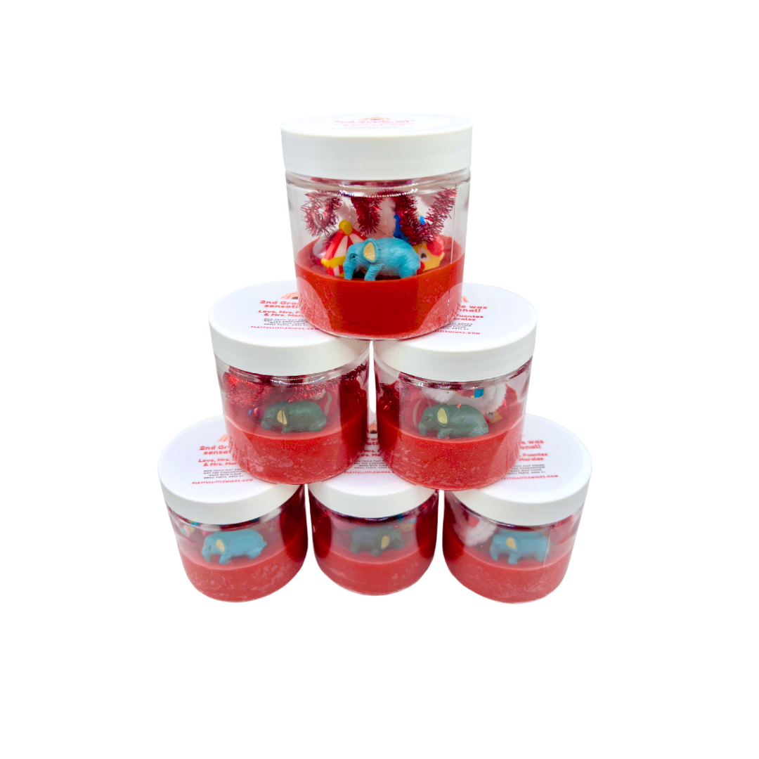 Circus Fun Birthday Party Favors 2
