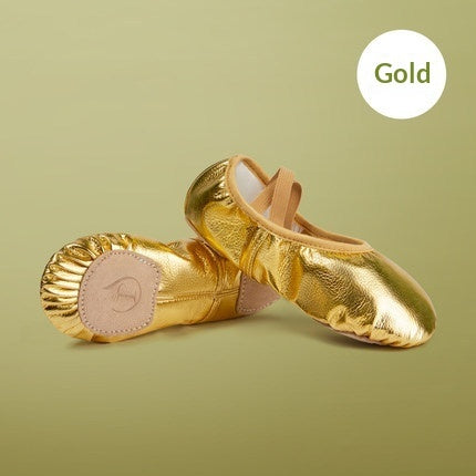 Soft-soled Practice PU Leather Cat-claw Gold And Silver Dance Shoes 7
