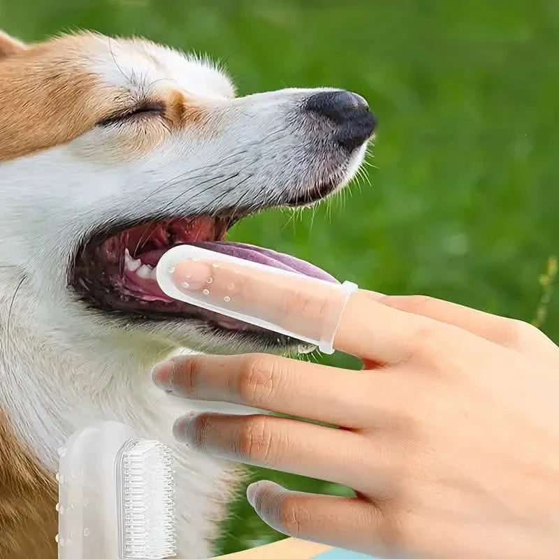 Finger Toothbrush For Dogs and Cats 7