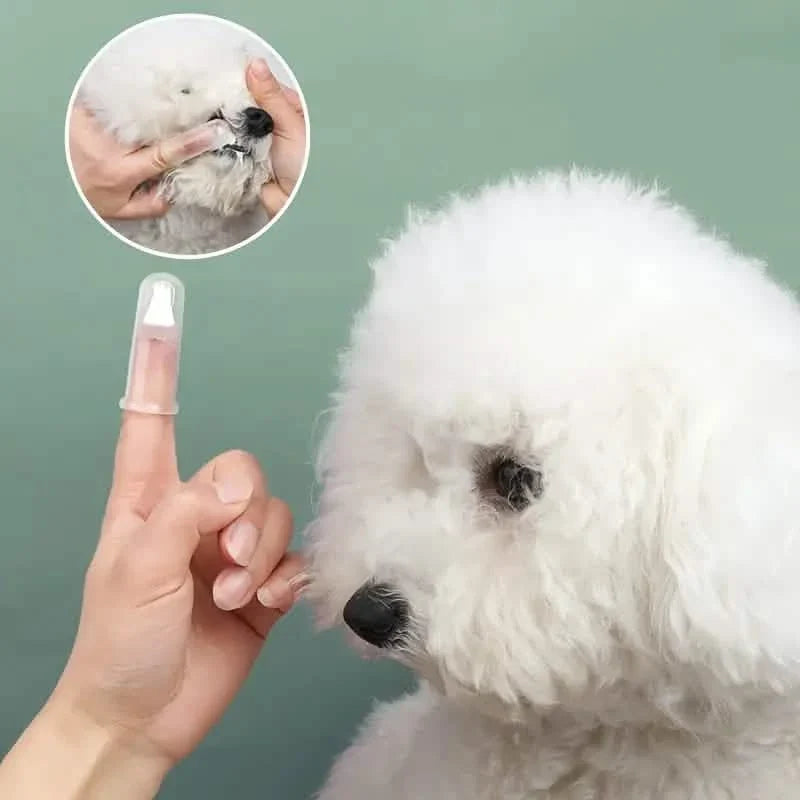 Finger Toothbrush For Dogs and Cats 6