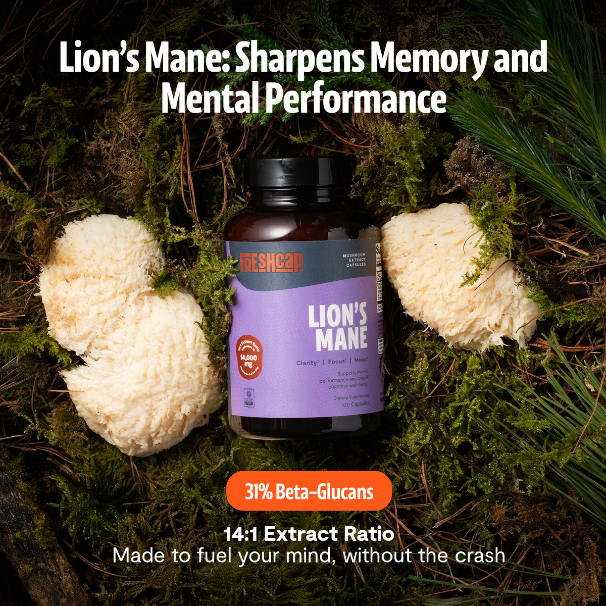Organic Lion’s Mane Capsules 17
