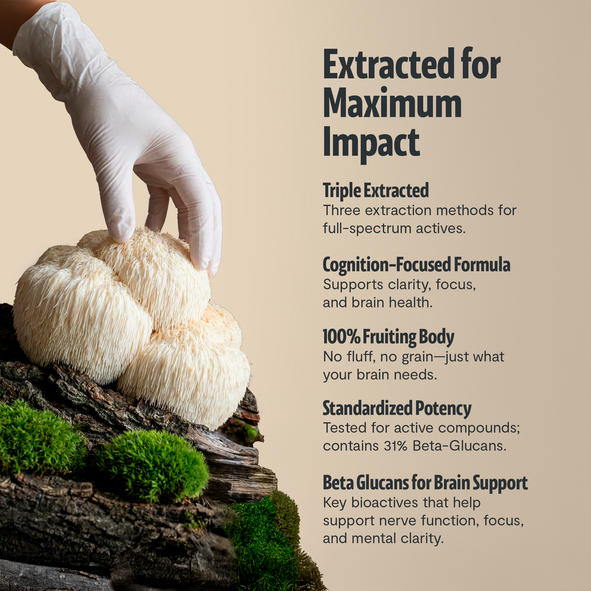 Organic Lion’s Mane Capsules 14