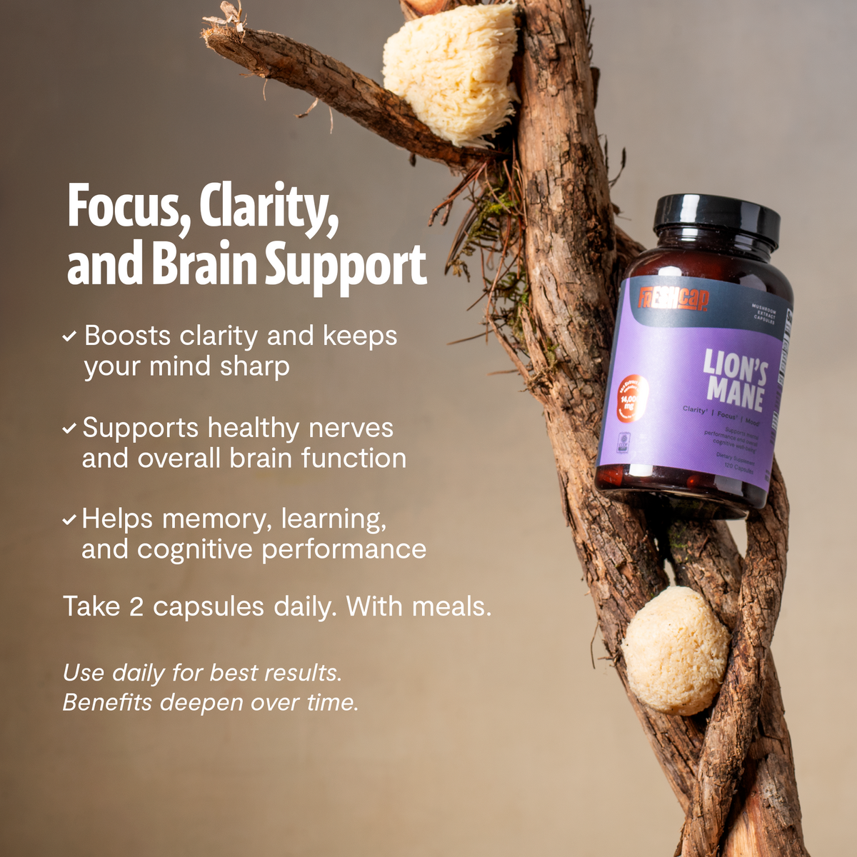 Organic Lion’s Mane Capsules 15